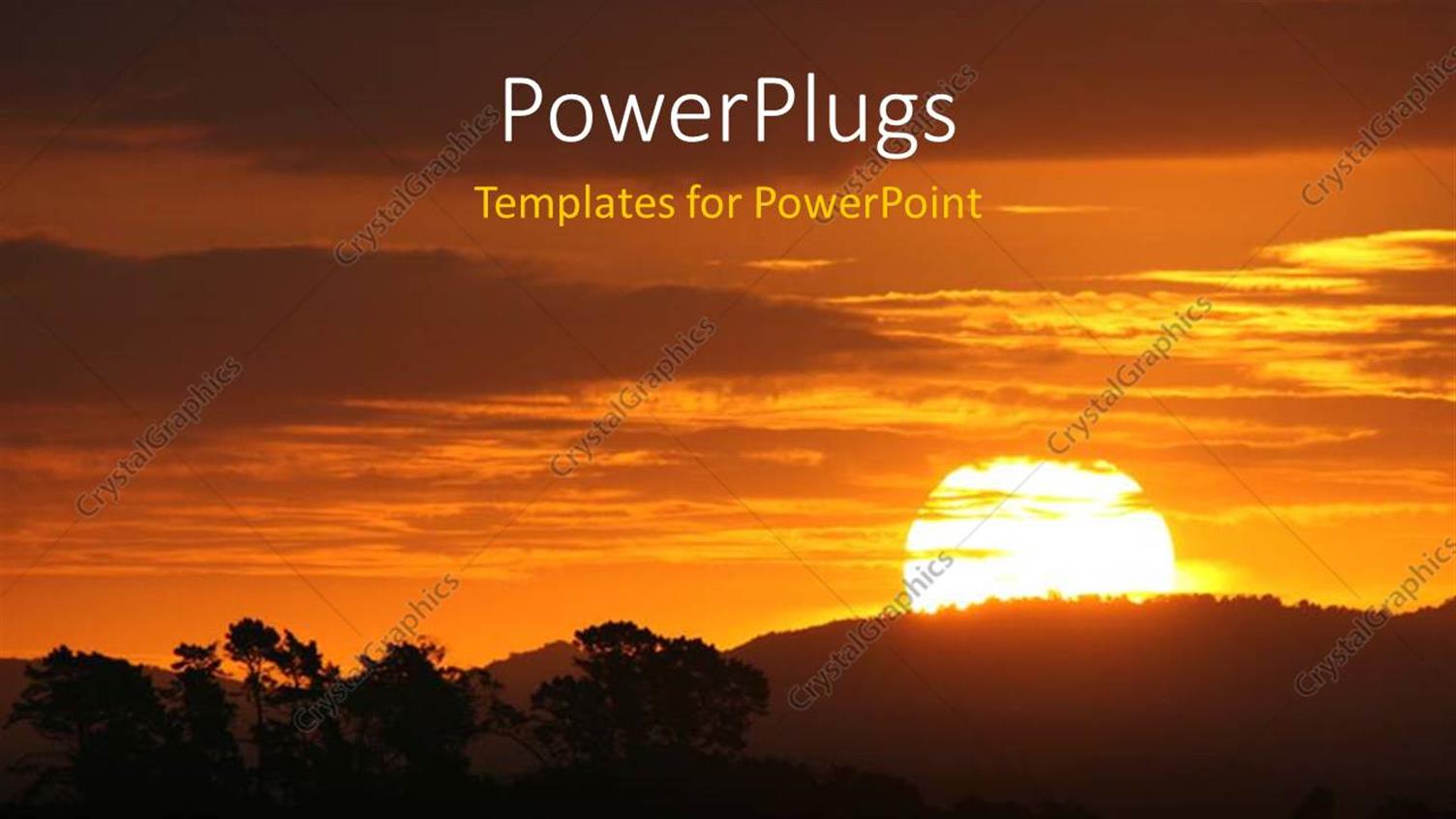 Premium Template for PowerPoint & Google Slides 