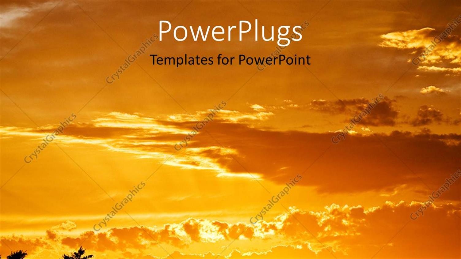 Premium Template for PowerPoint & Google Slides 