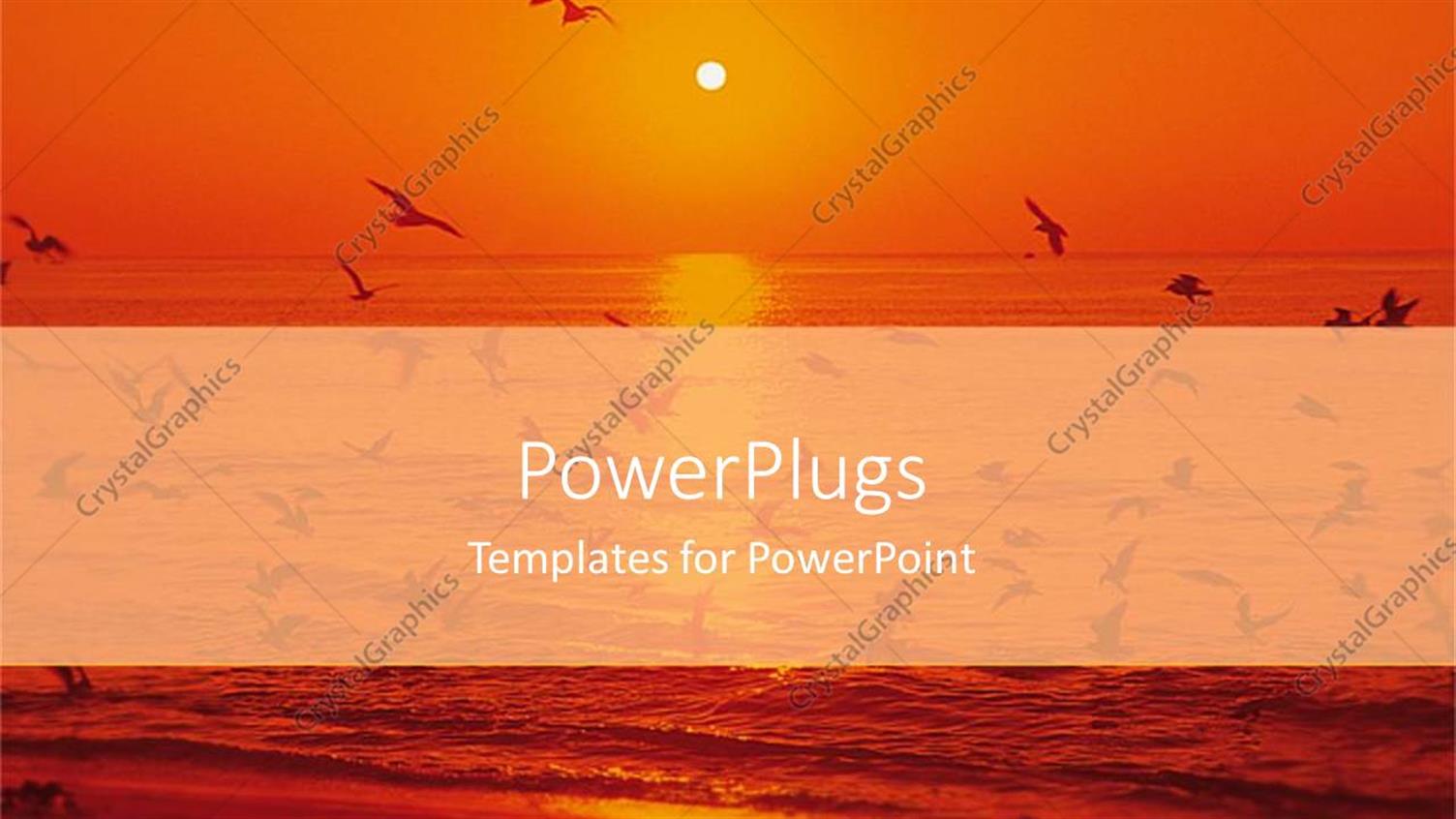 Featuring a Sunset in the Background of an Ocean