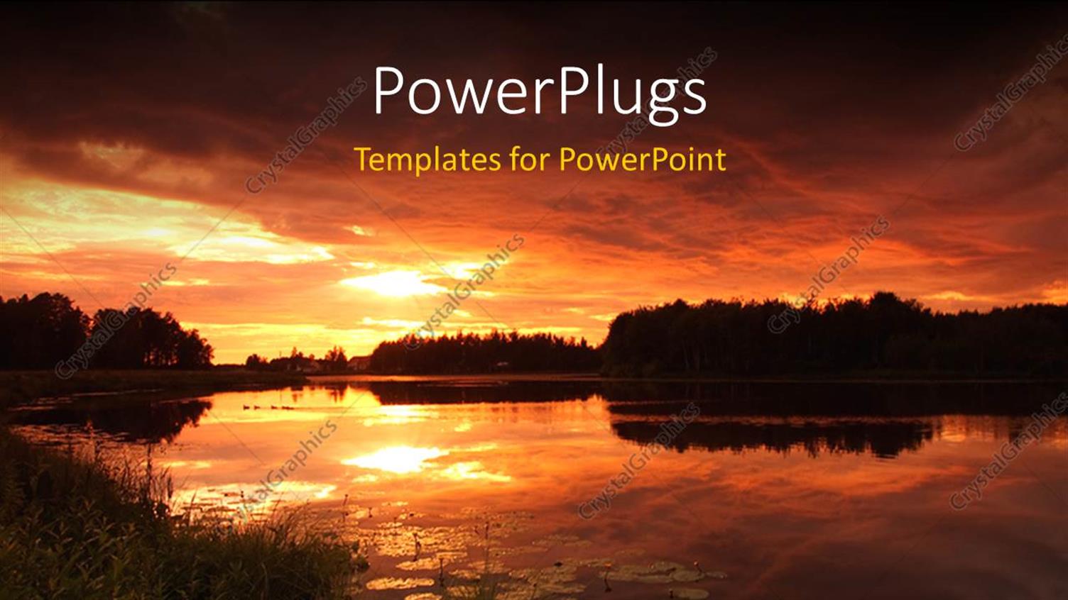 Premium Template for PowerPoint & Google Slides 