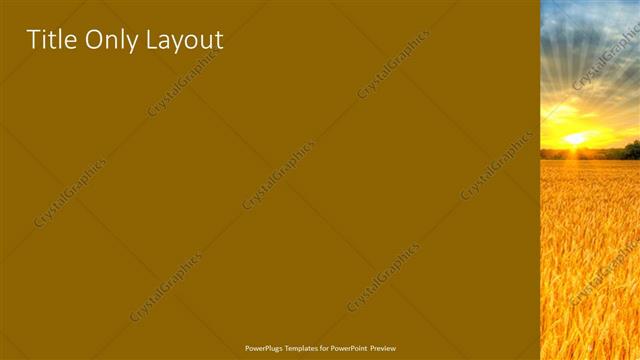 Title Only presentation slide layout