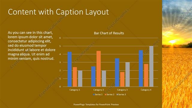 Content with Caption presentation slide layout