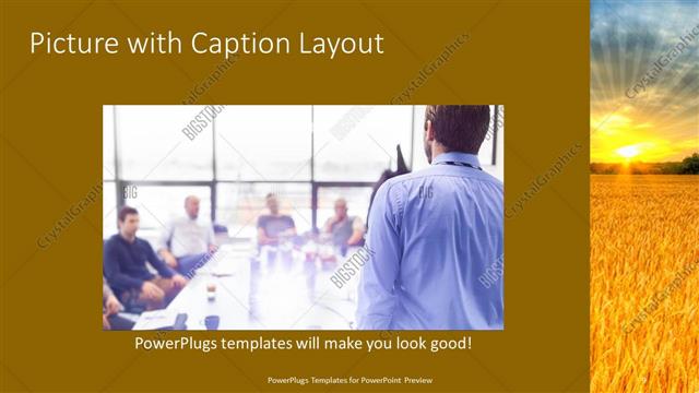 Picture with Caption presentation slide layout