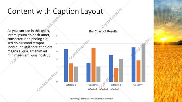 Content with Caption presentation slide layout