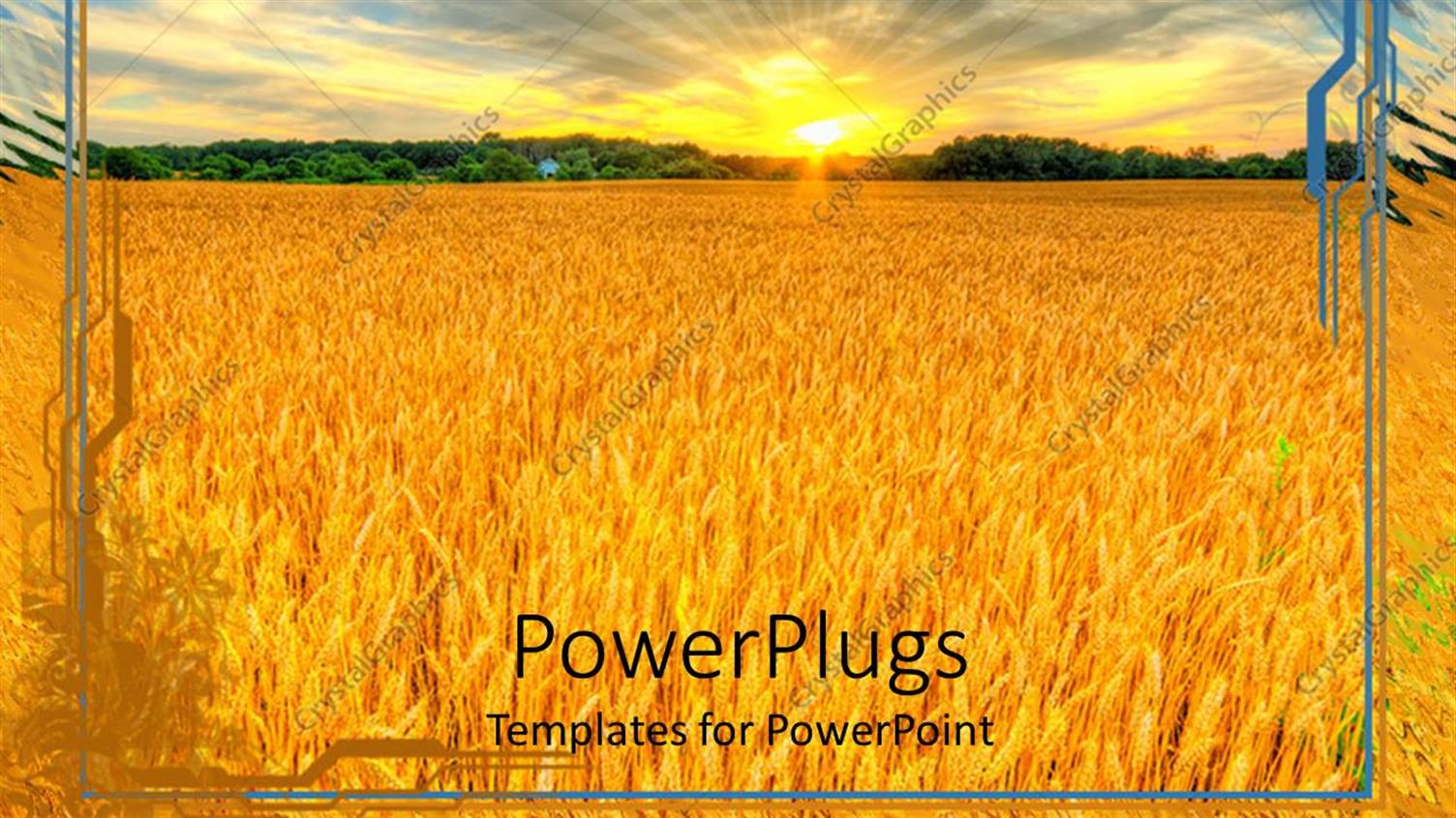 Premium Template for PowerPoint & Google Slides 