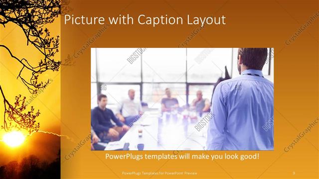 Picture with Caption presentation slide layout