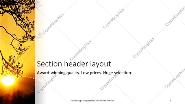 Section Header presentation slide layout