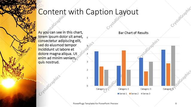Content with Caption presentation slide layout