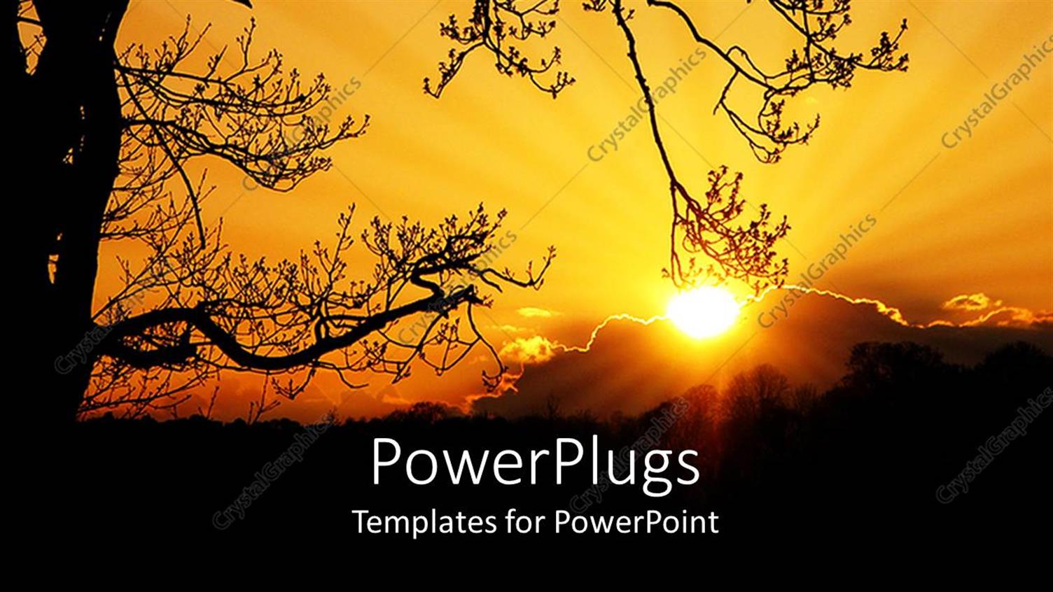 Premium Template for PowerPoint & Google Slides 