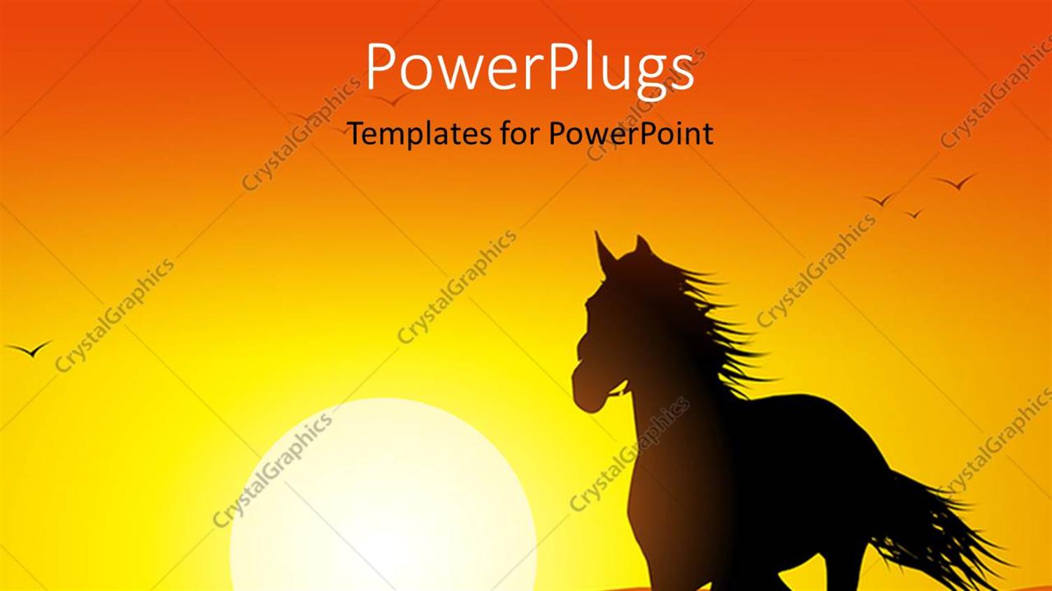 Premium Template for PowerPoint & Google Slides 