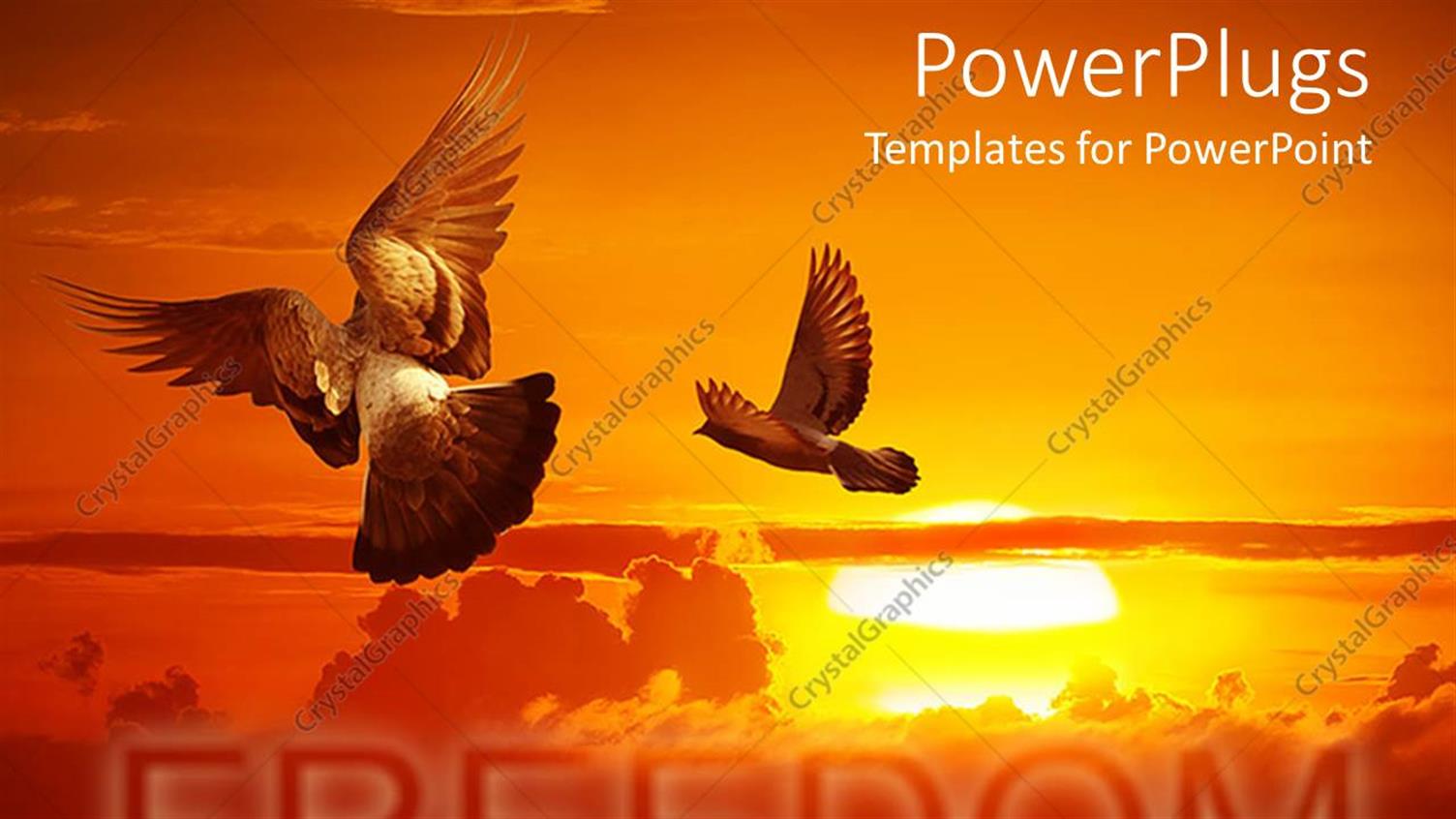 Premium Template for PowerPoint & Google Slides 