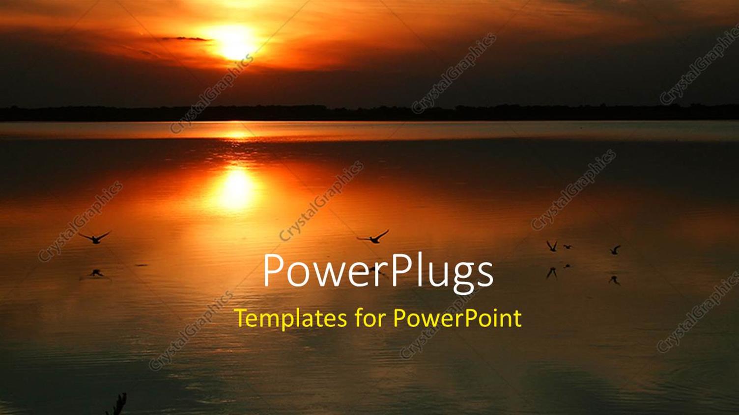 Premium Template for PowerPoint & Google Slides 