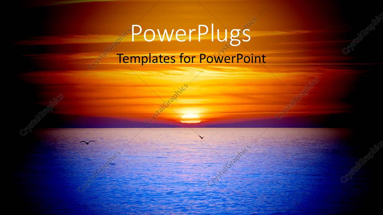 Premium Template for PowerPoint & Google Slides 