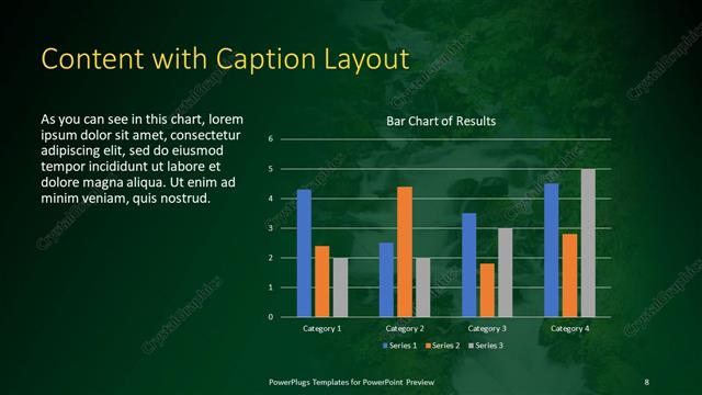 Content with Caption presentation slide layout