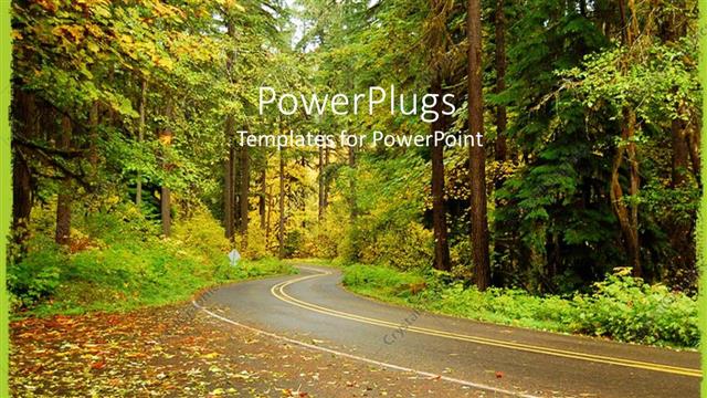  Presentation with forest road - Tarred curvy road through colorful forest in autumn