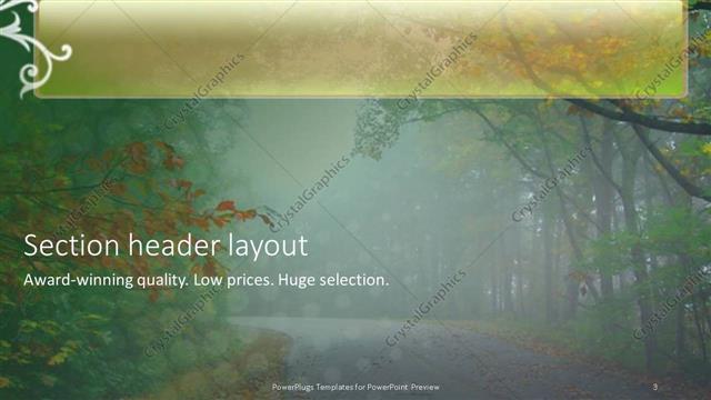 Section Header presentation slide layout