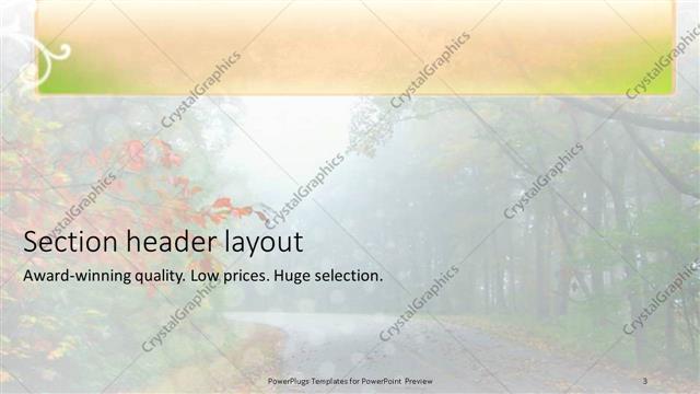 Section Header presentation slide layout