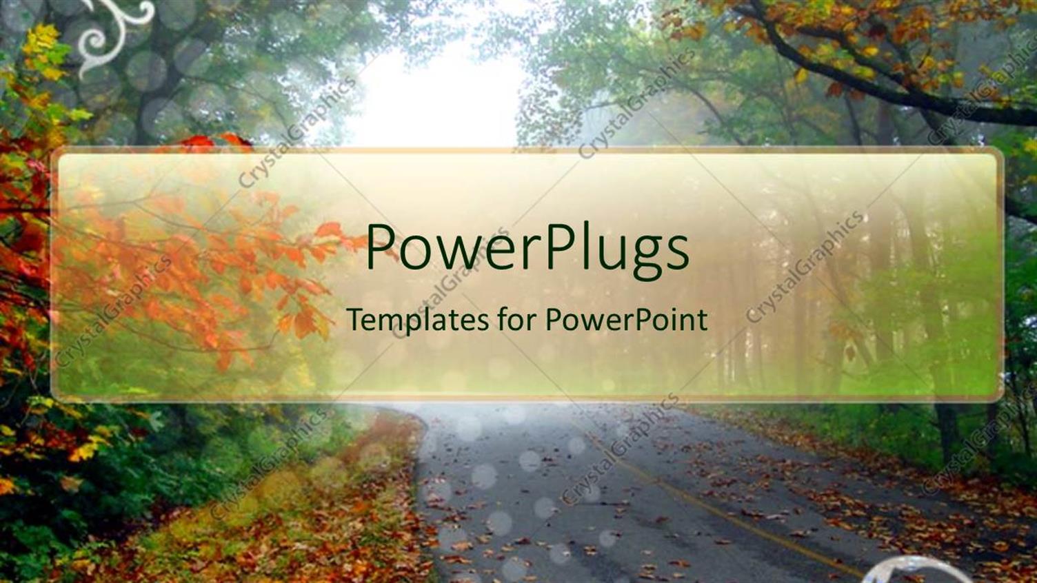 Premium Template for PowerPoint & Google Slides 