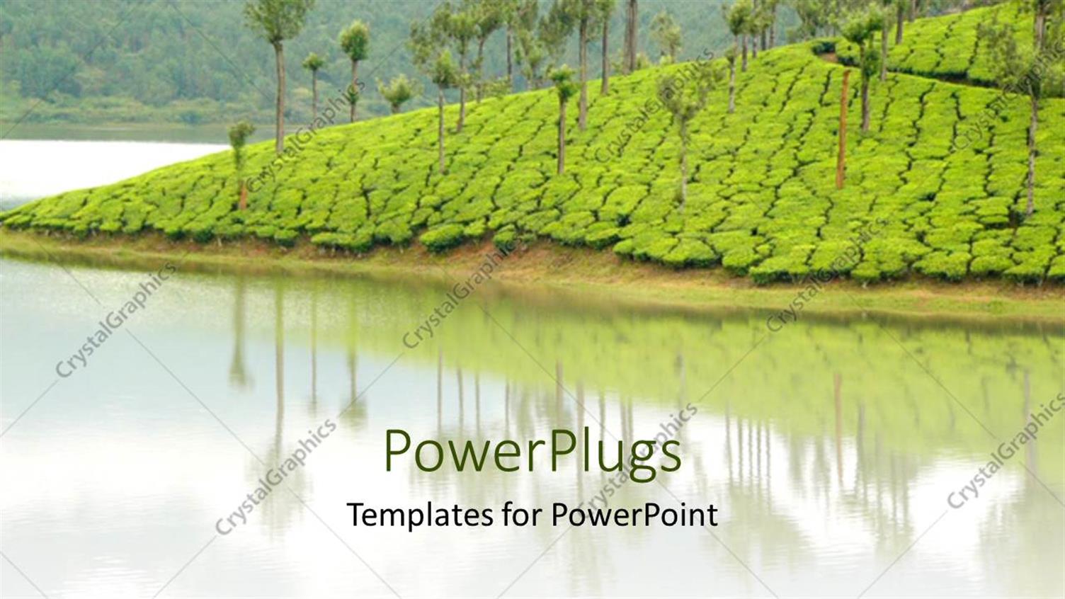 Premium Template for PowerPoint & Google Slides 