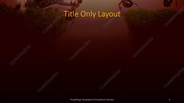 Title Only presentation slide layout