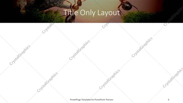 Title Only presentation slide layout