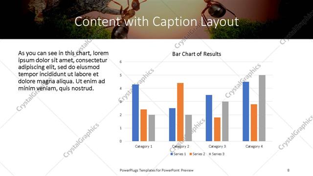 Content with Caption presentation slide layout