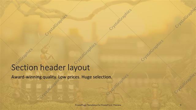 Section Header presentation slide layout