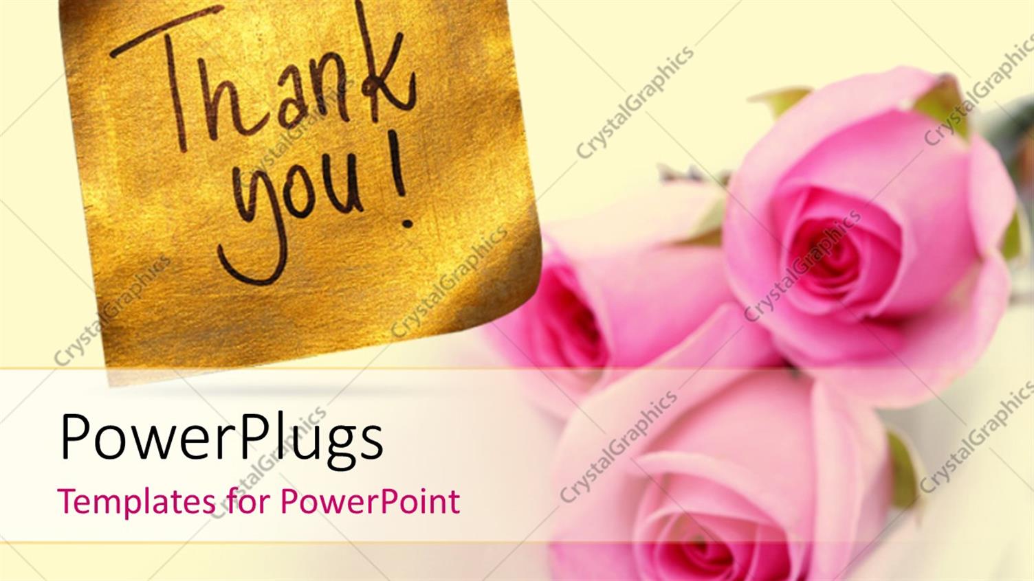 Premium Template for PowerPoint & Google Slides 