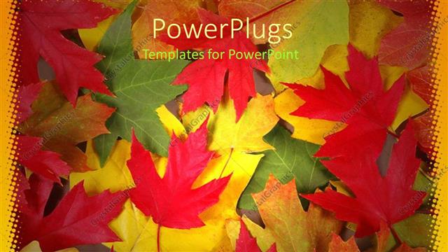  Presentation with leaves - A theme of collection of leaves of various colors