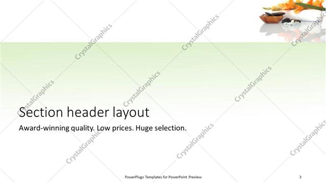 Section Header presentation slide layout