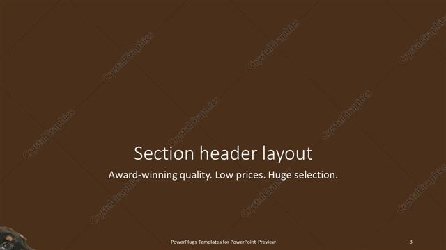 Section Header presentation slide layout