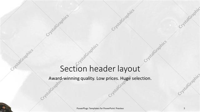 Section Header presentation slide layout