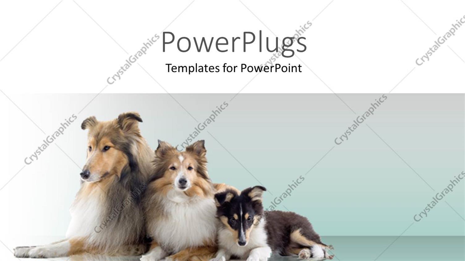 Premium Template for PowerPoint & Google Slides 