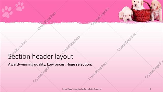 Section Header presentation slide layout