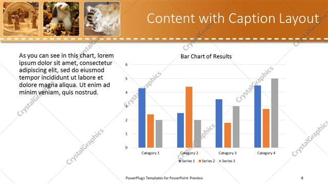Content with Caption presentation slide layout