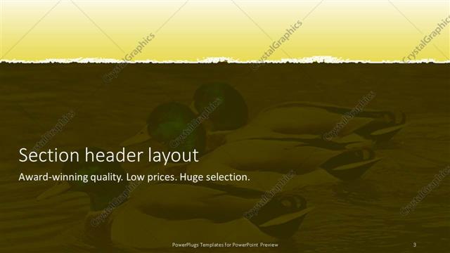 Section Header presentation slide layout
