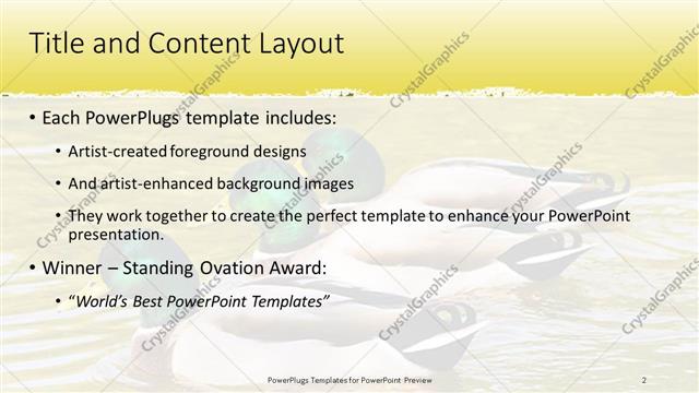 Title and Content presentation slide layout