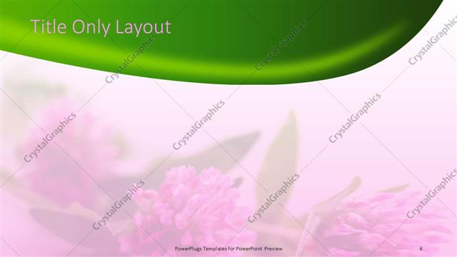 Title Only presentation slide layout