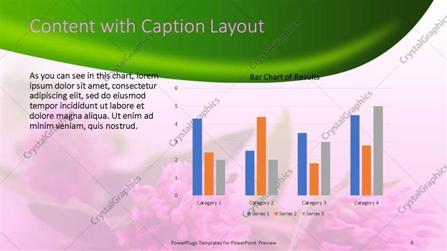 Content with Caption presentation slide layout