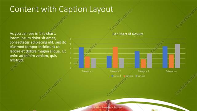 Content with Caption presentation slide layout