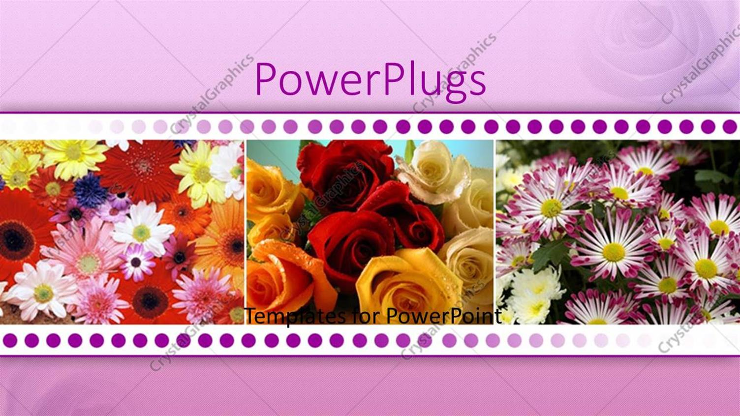 Premium Template for PowerPoint & Google Slides 