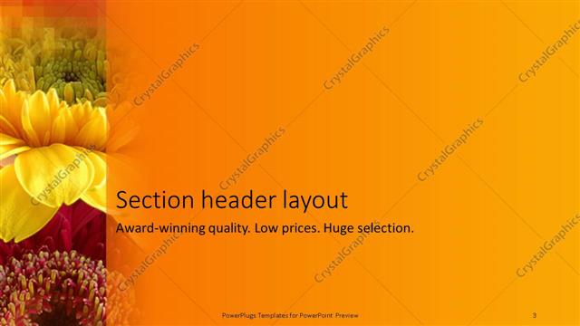 Section Header presentation slide layout