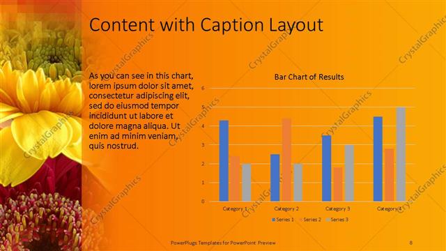 Content with Caption presentation slide layout