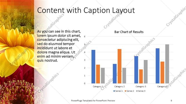 Content with Caption presentation slide layout