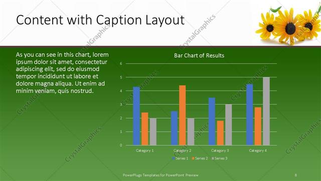Content with Caption presentation slide layout