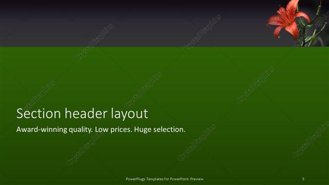 Section Header presentation slide layout
