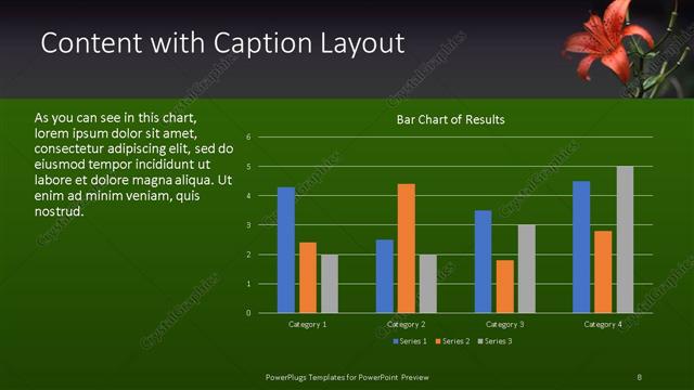 Content with Caption presentation slide layout