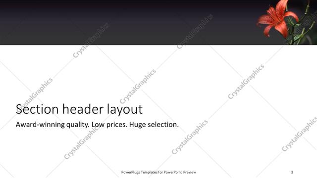 Section Header presentation slide layout