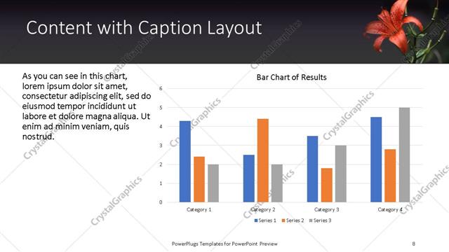 Content with Caption presentation slide layout