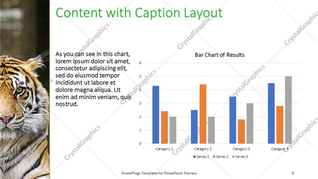 Content with Caption presentation slide layout